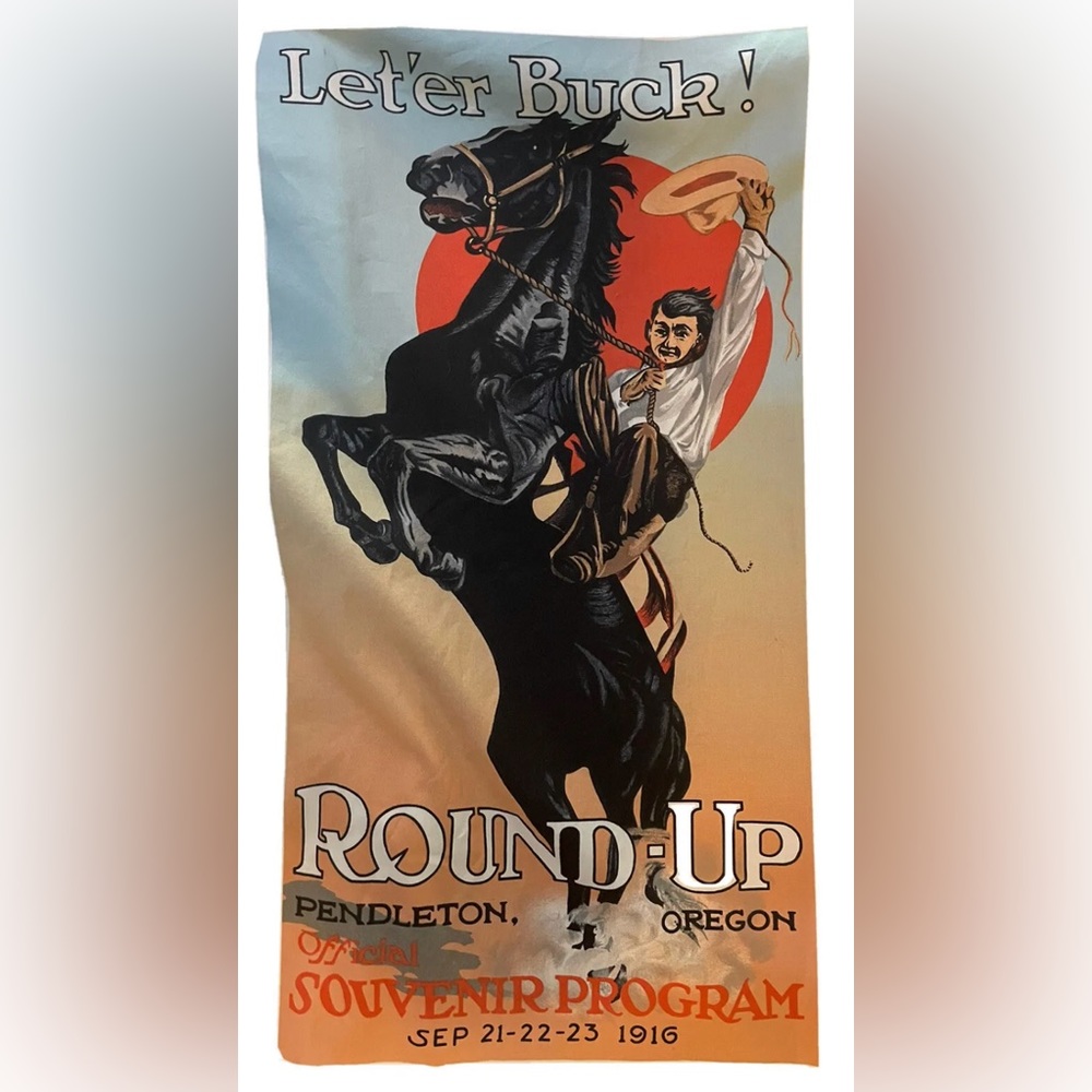 Pendleton Roundup Button Up Long Sleeve Shirt Siz… - image 2